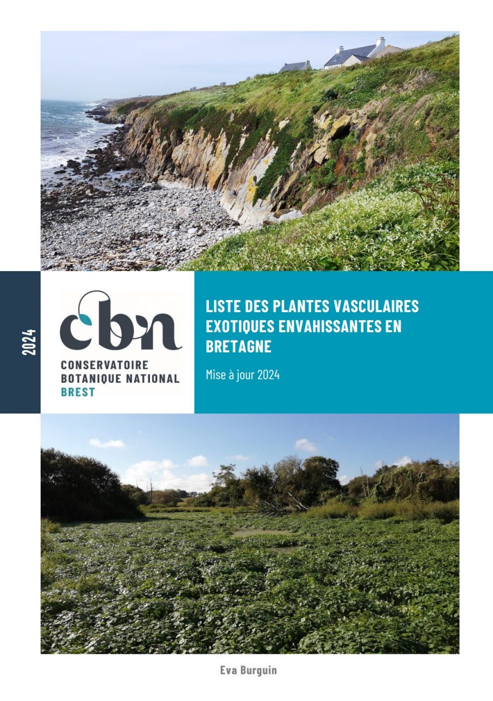 Liste des plantes vasculaires exotiques envahissantes en Bretagne- Mise à jour 2024