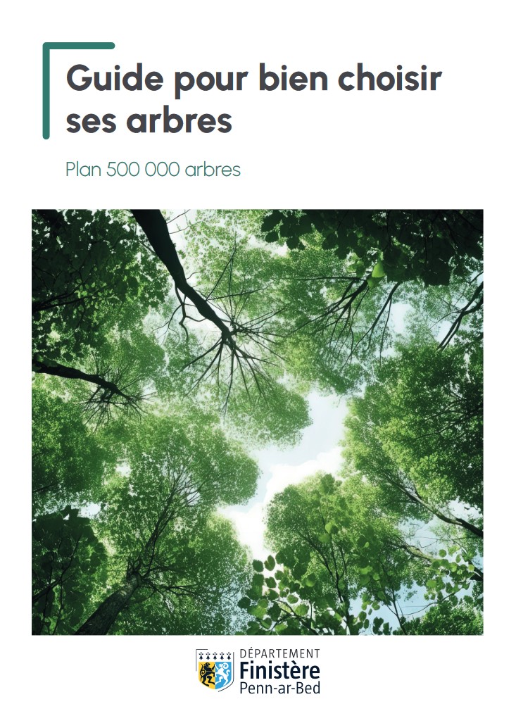 Guide pour bien choisir ses arbres