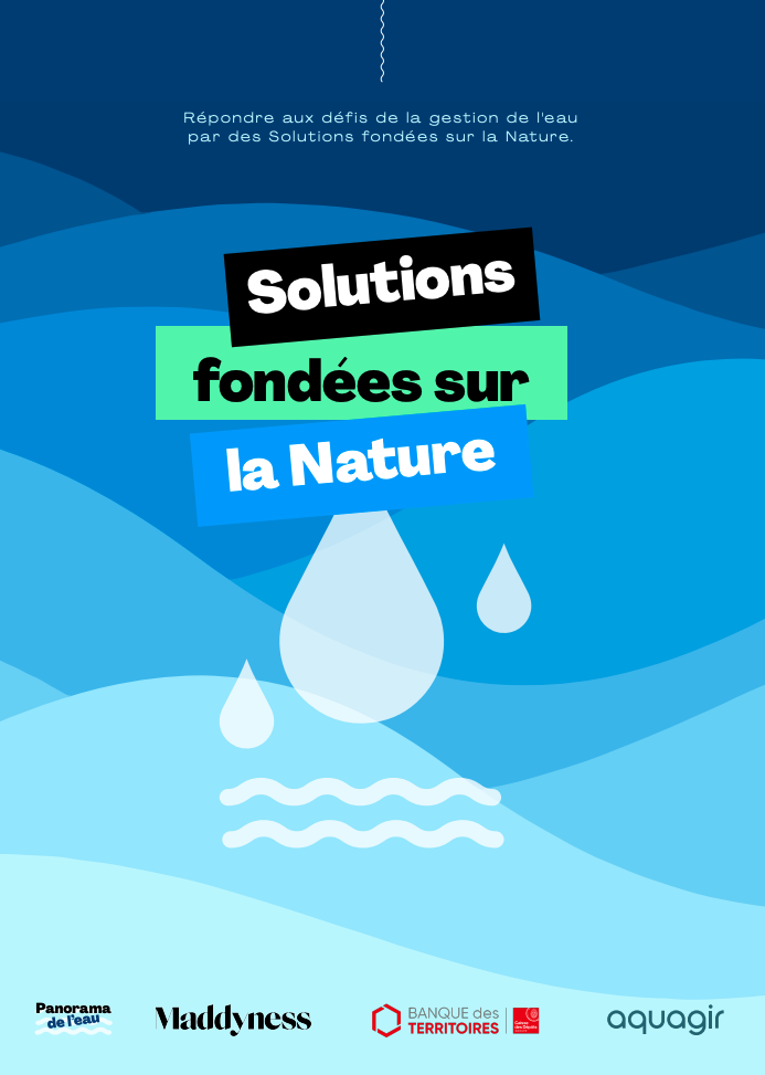 Les Solutions fondées sur la Nature - Panorama de l'eau 2024