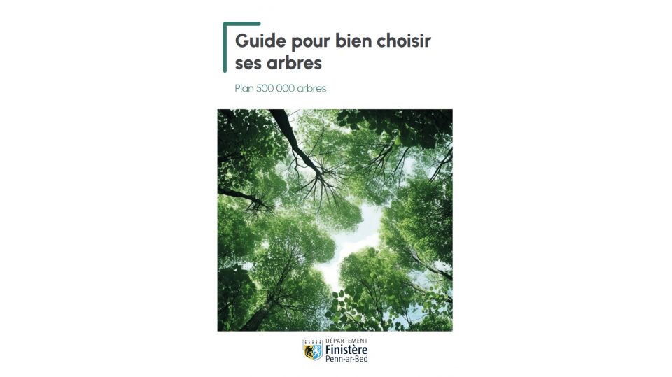 Guide pour bien choisir ses arbres