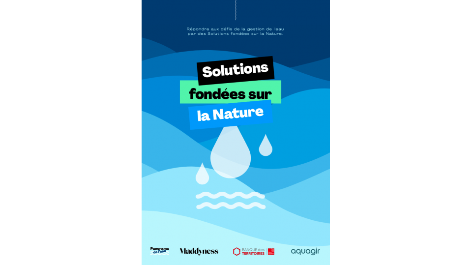 Les Solutions fondées sur la Nature - Panorama de l'eau 2024